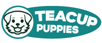 teacupuppies